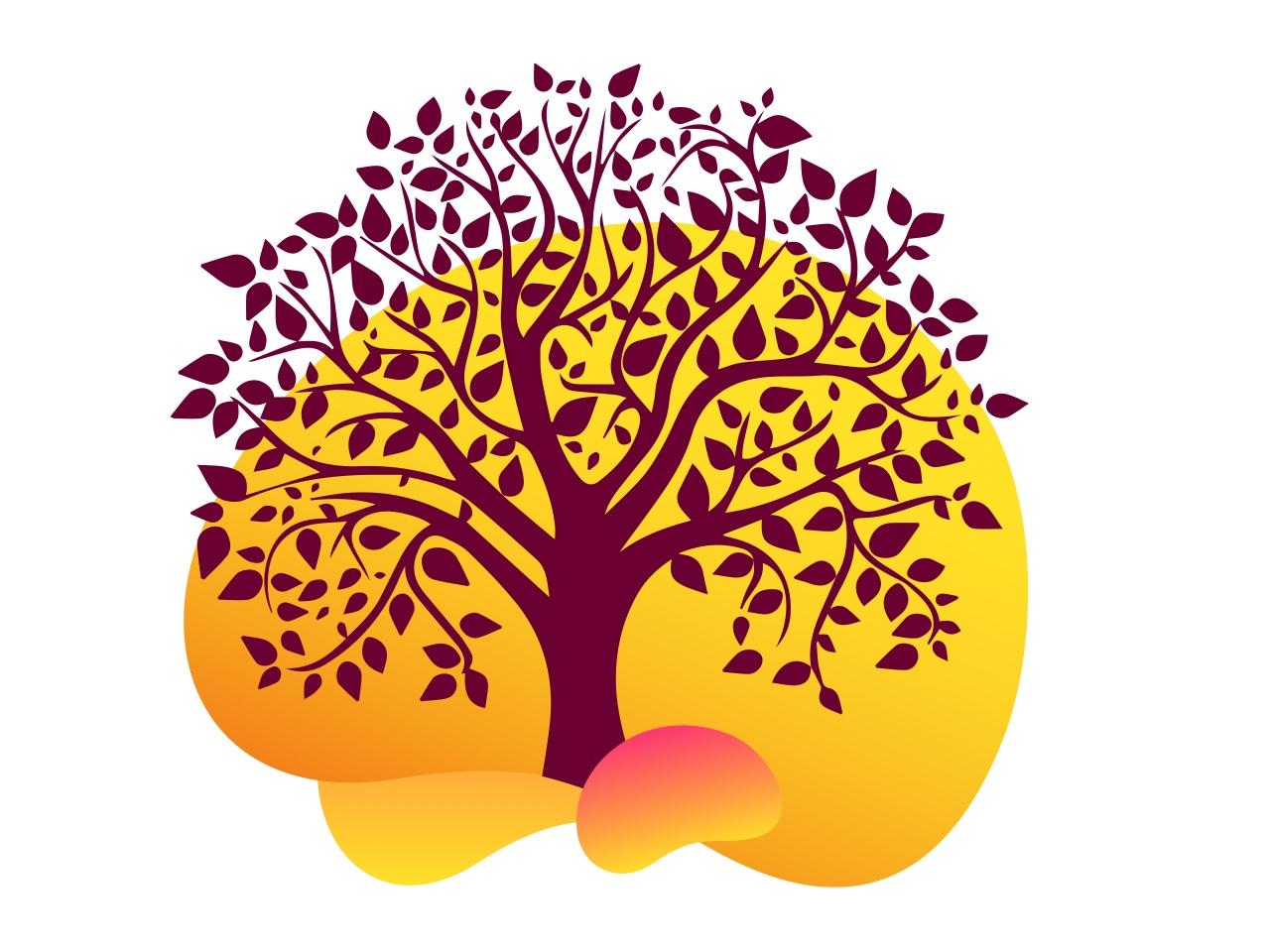 About Vidya Bharati Uchcha Shiksha Sansthan